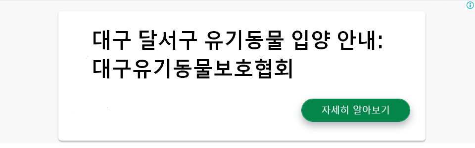 대구 달서구 유기동물 입양 안내: 대구유기동물보호협회