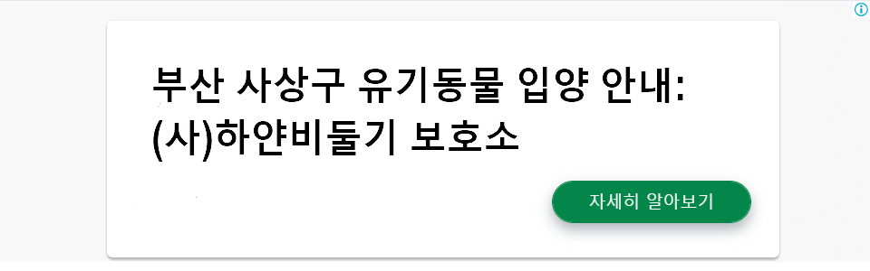 부산 사상구 유기동물 입양 안내: (사)하얀비둘기 보호소