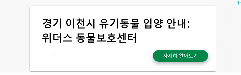 경기 이천시 유기동물 입양 안내: 위더스 동물보호센터