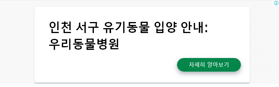 인천 서구 유기동물 입양 안내: 우리동물병원