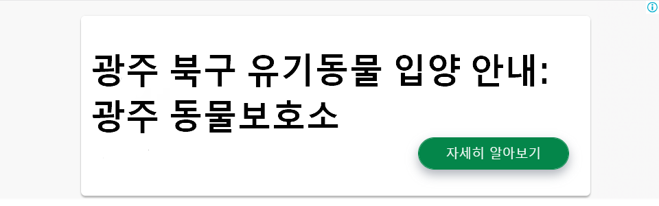 광주 북구 유기동물 입양 안내: 광주 동물보호소