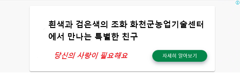 흰색과 검은색의 조화 화천군농업기술센터에서 만나는 특별한 친구