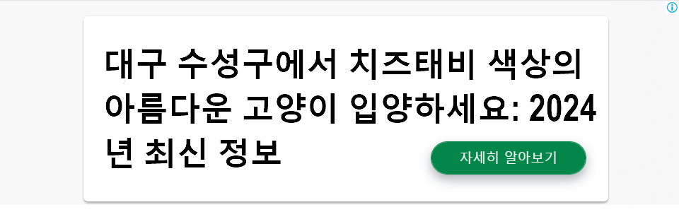 대구 수성구에서 치즈태비 색상의 아름다운 고양이 입양하세요: 2024년 최신 정보