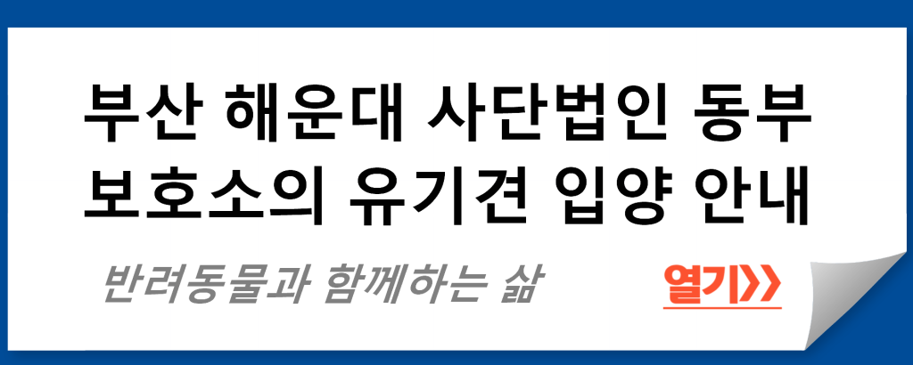 부산 해운대 사단법인 동부 보호소의 유기견 입양 안내