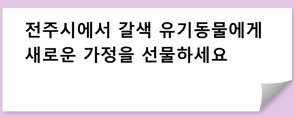 전주시에서 갈색 유기동물에게 새로운 가정을 선물하세요