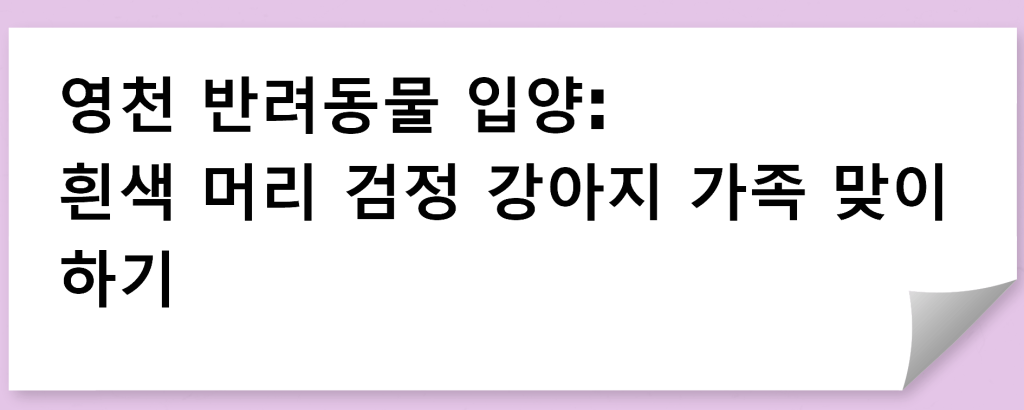 영천 반려동물 입양: 흰색 머리 검정 강아지 가족 맞이하기