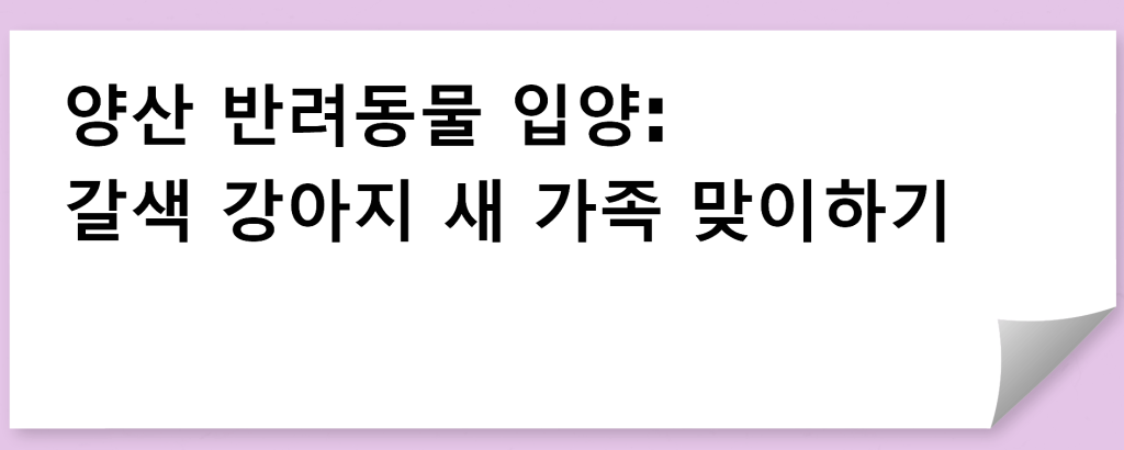 양산 반려동물 입양: 갈색 강아지 새 가족 맞이하기