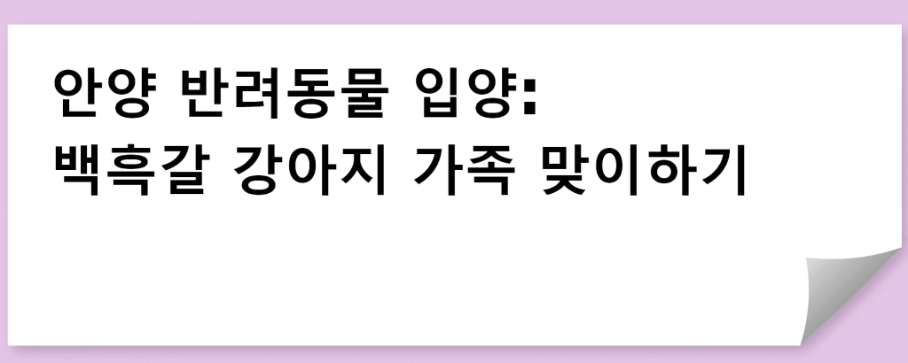 안양 반려동물 입양: 백흑갈 강아지 가족 맞이하기