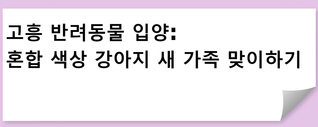 고흥 반려동물 입양: 혼합 색상 강아지 새 가족 맞이하기