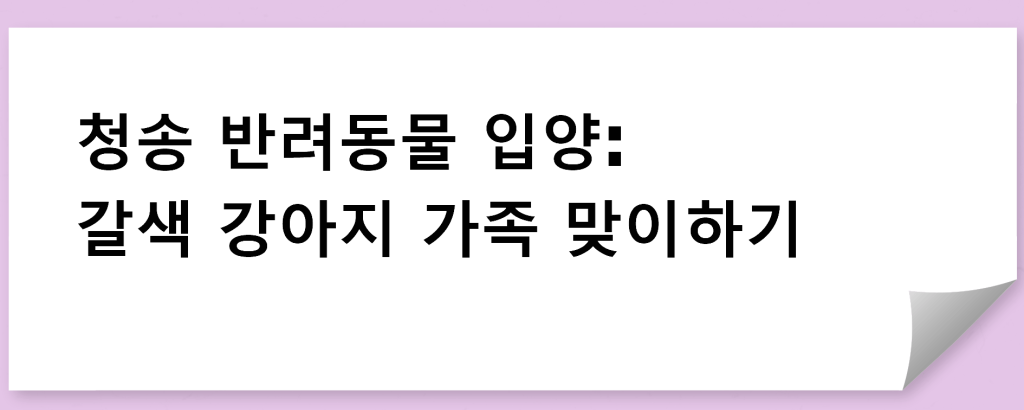 청송 반려동물 입양: 갈색 강아지 가족 맞이하기