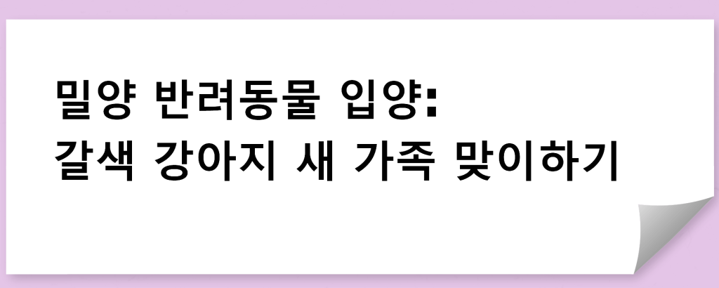 밀양 반려동물 입양: 갈색 강아지 새 가족 맞이하기