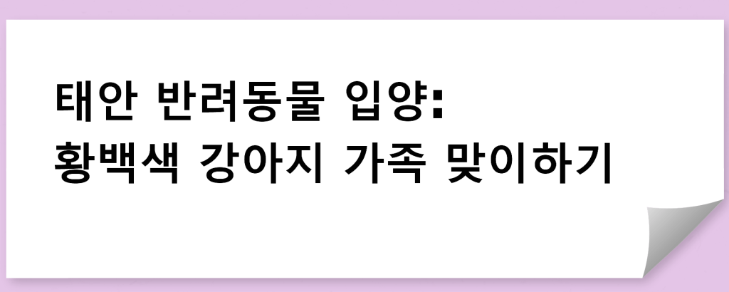 태안 반려동물 입양: 황백색 강아지 가족 맞이하기