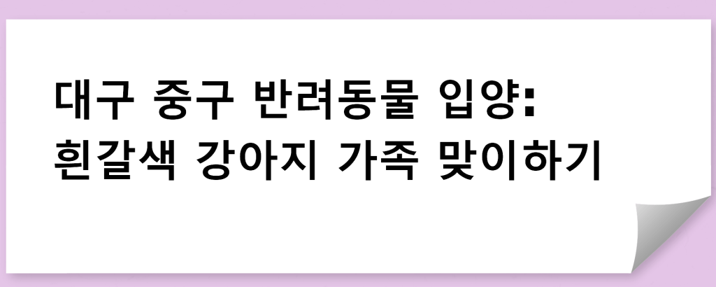 대구 중구 반려동물 입양: 흰갈색 강아지 가족 맞이하기