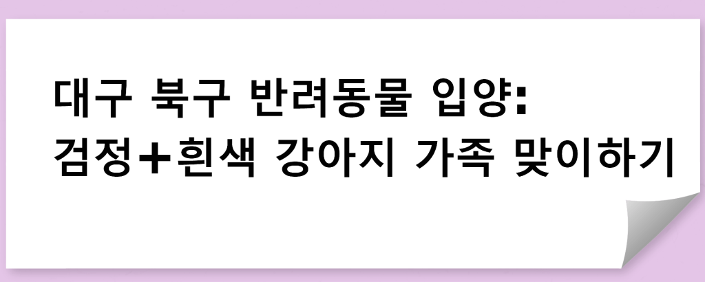 대구 북구 반려동물 입양: 검정+흰색 강아지 가족 맞이하기